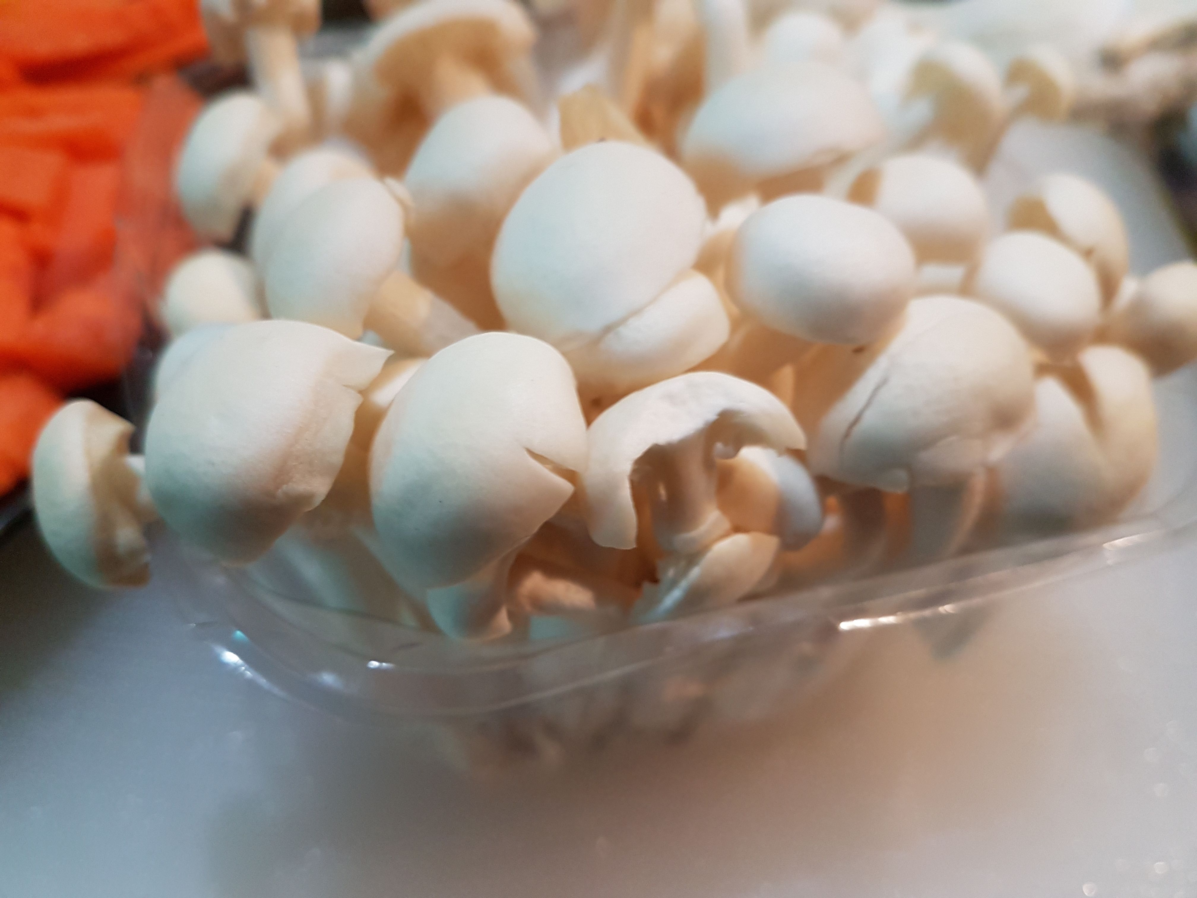 20171111_104339.jpg