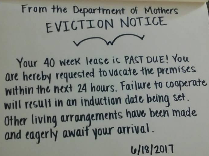 eviction.png