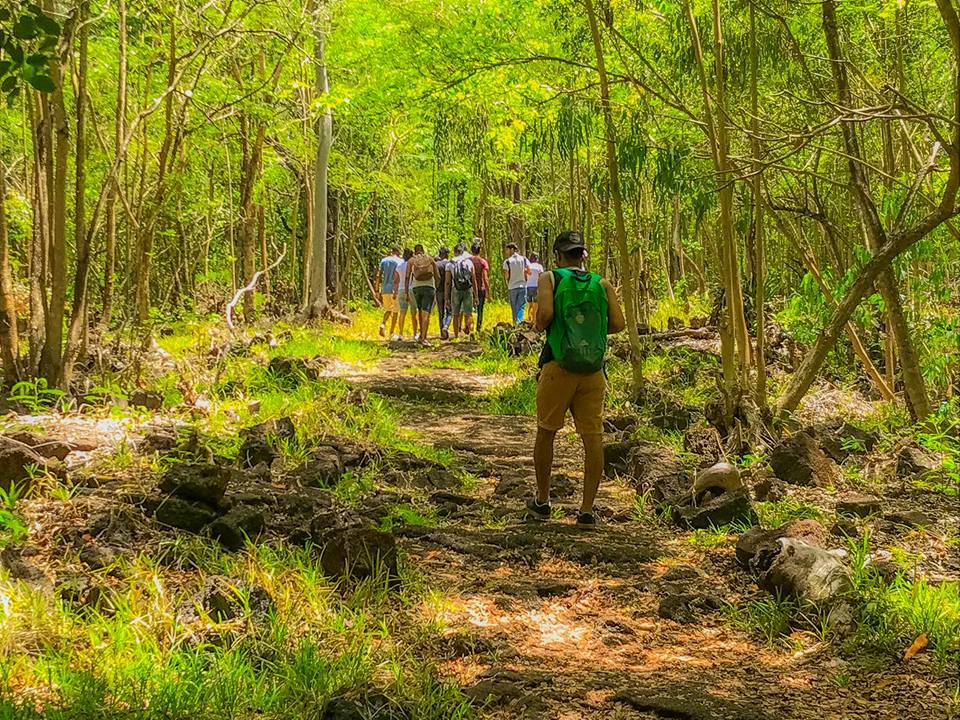 Walking in Mauritius: Bras d'Eau Reserve