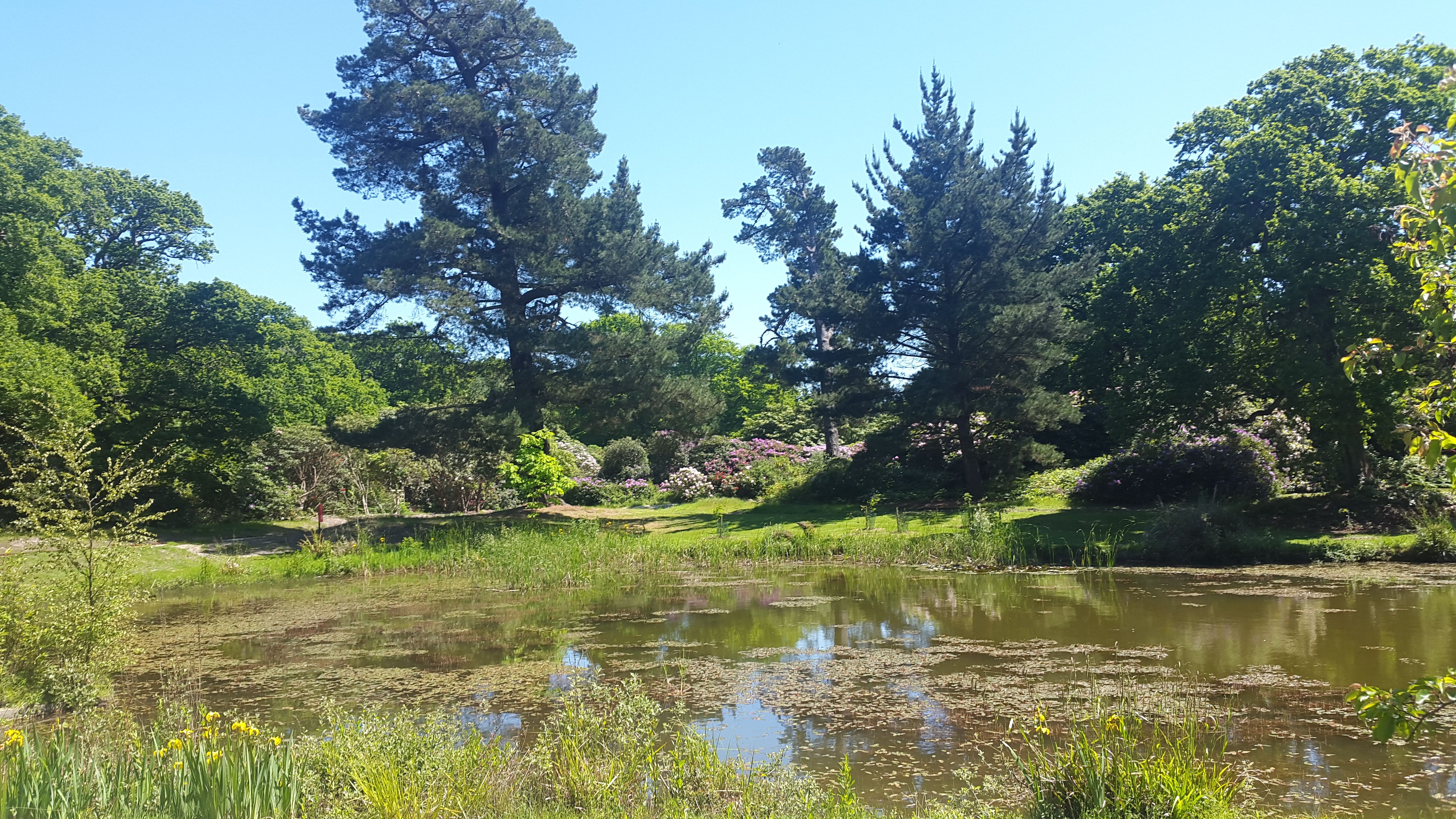 20170526_141230.jpg