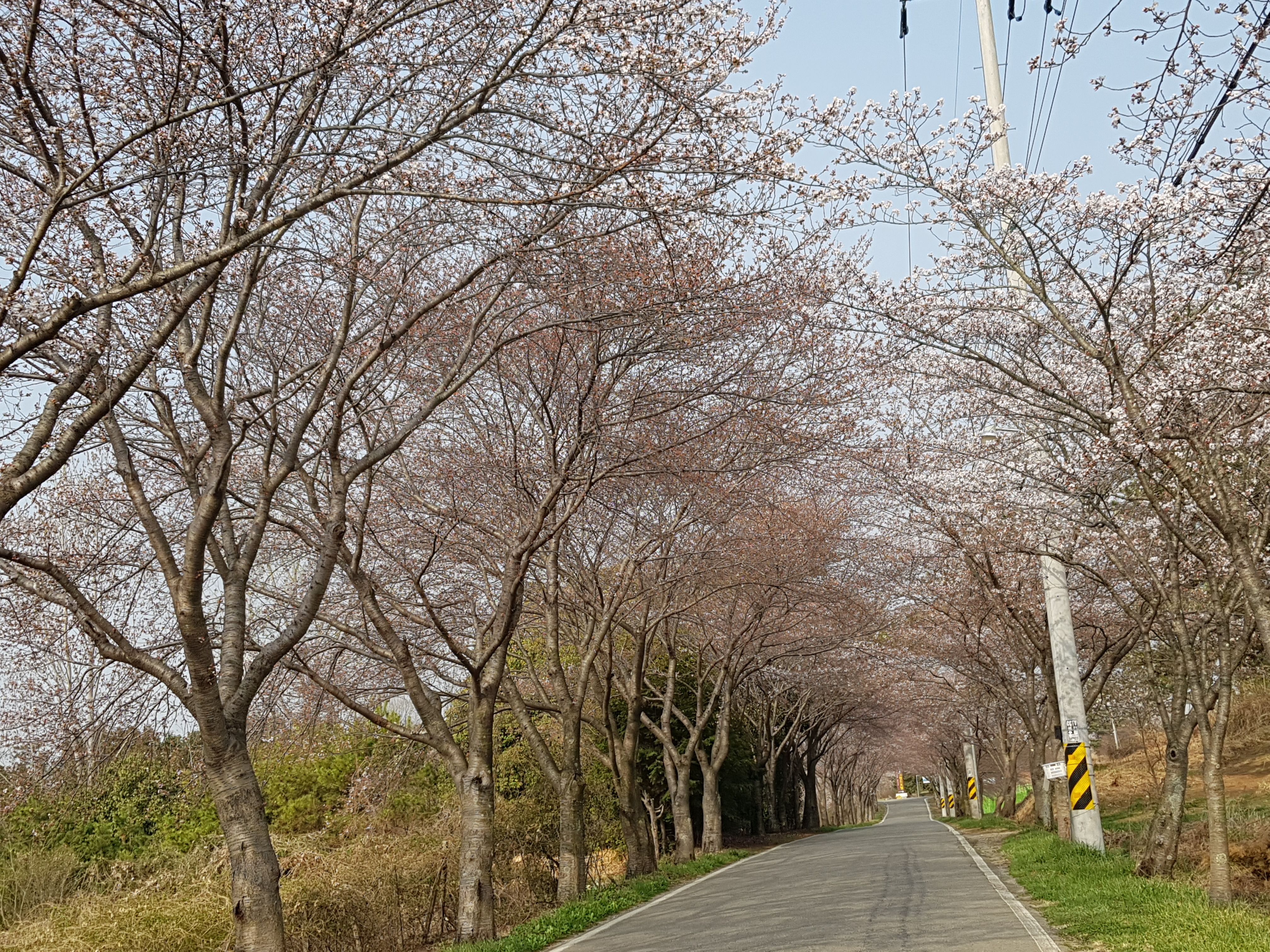 20180330_084127.jpg