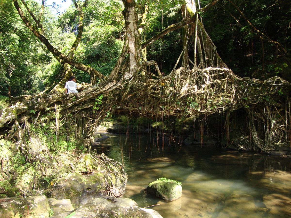 Mawlynnong-Meghalaya.jpg