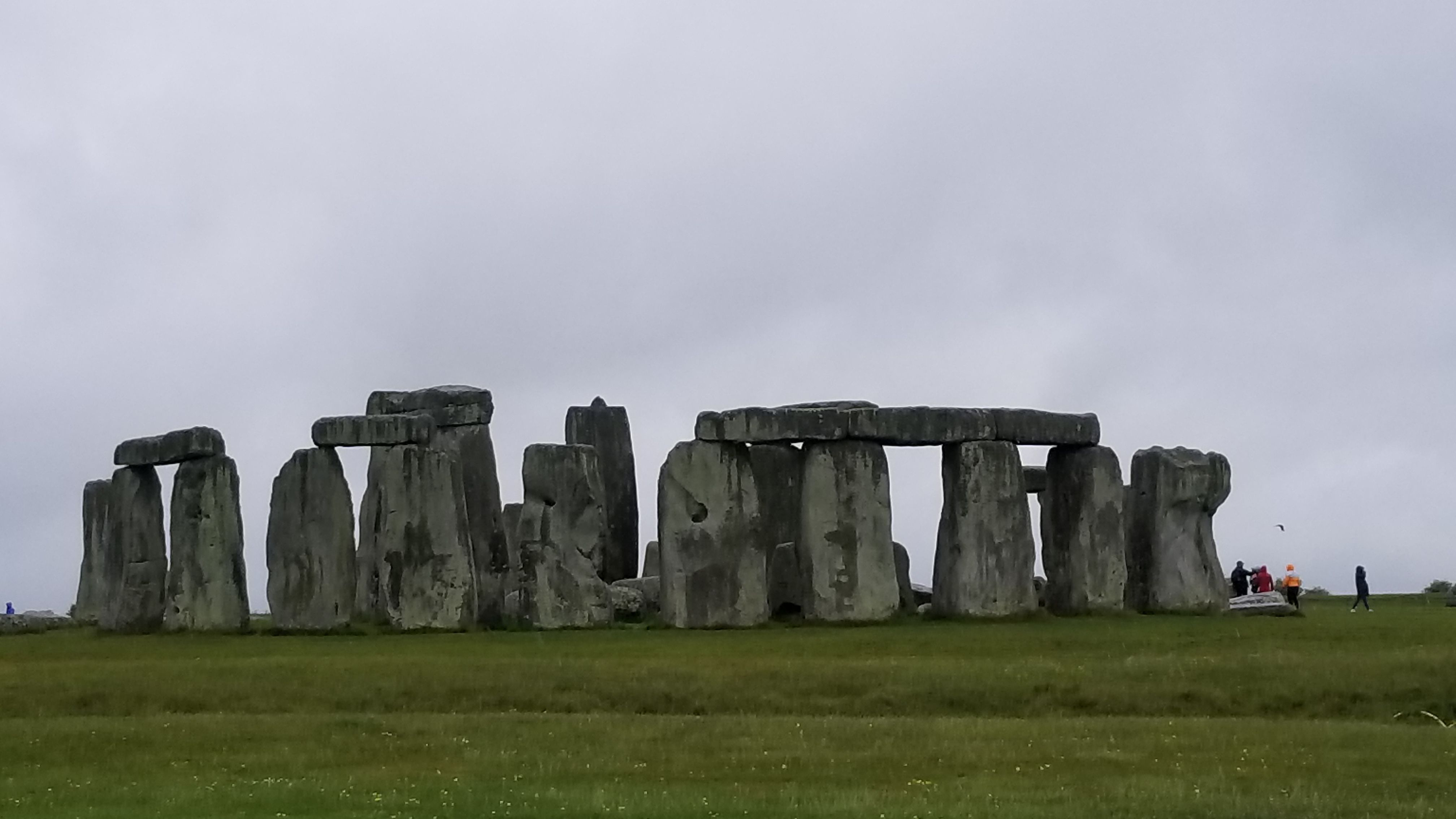 20170517_110256[1].jpg