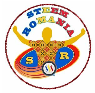 Logo Final - SRO - SMALL.jpg