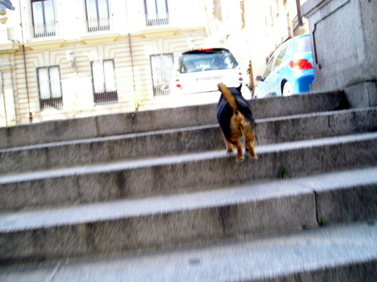 eni up the stairs