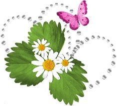 daisies and butterfly-235x212.jpg
