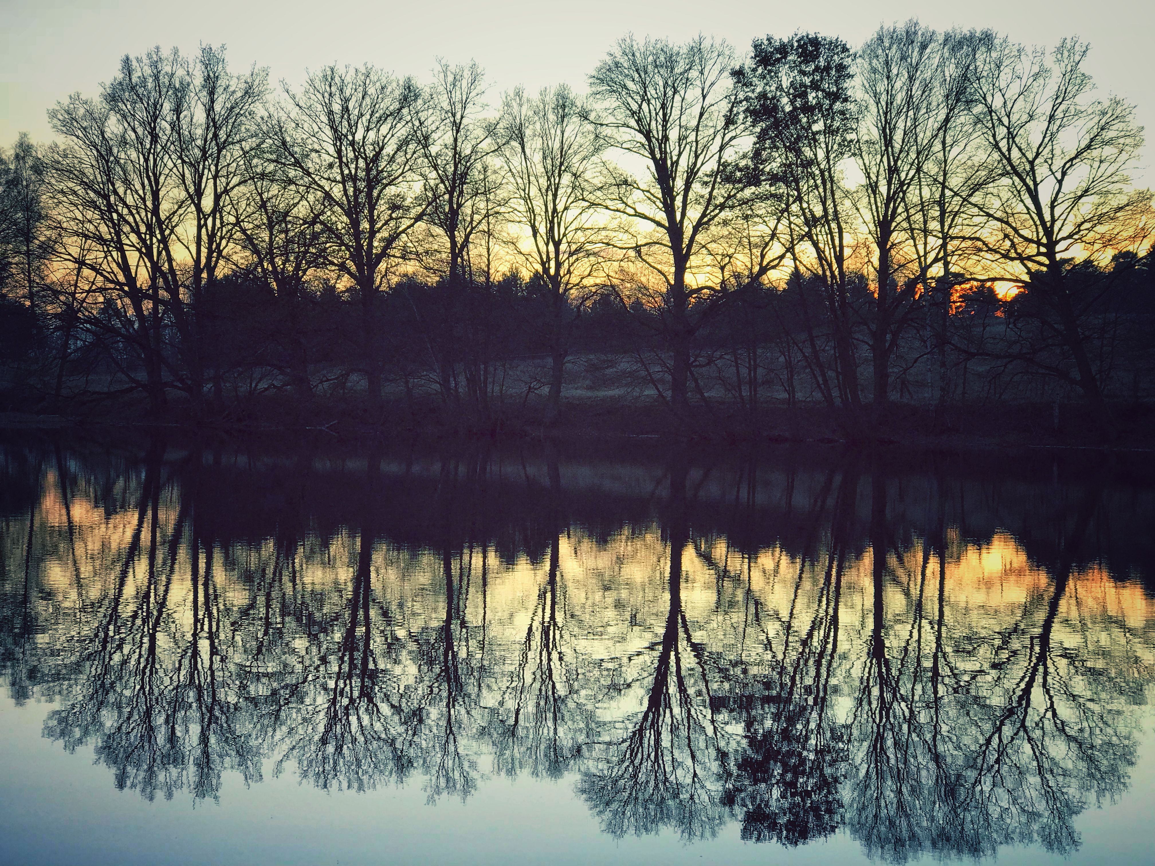 DE0D6EFE-20C1-4396-8605-083CCD112035.jpeg