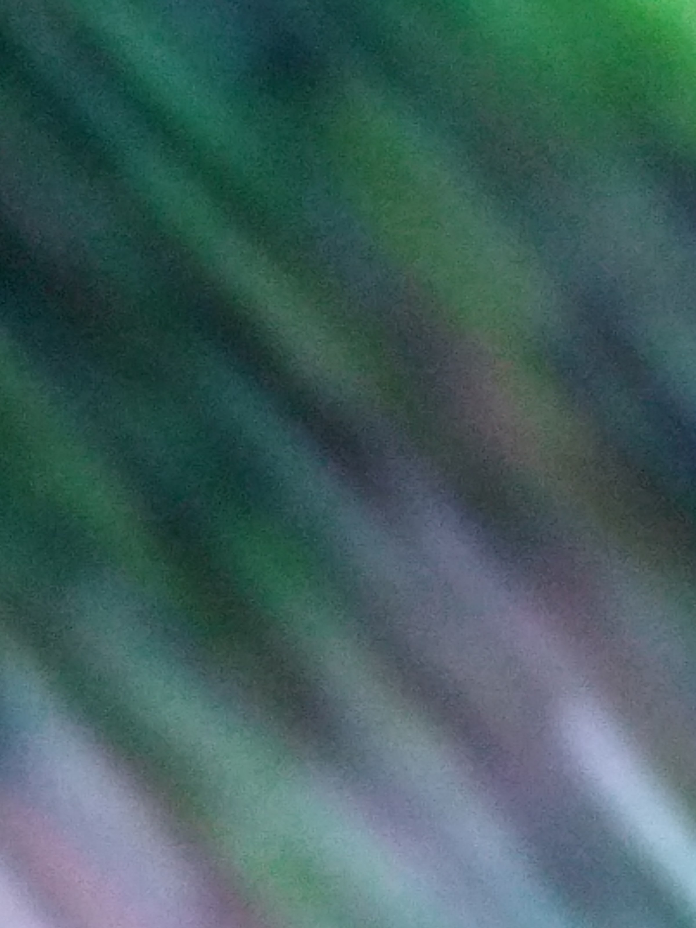 IMG_20180130_070728_HDR.jpg