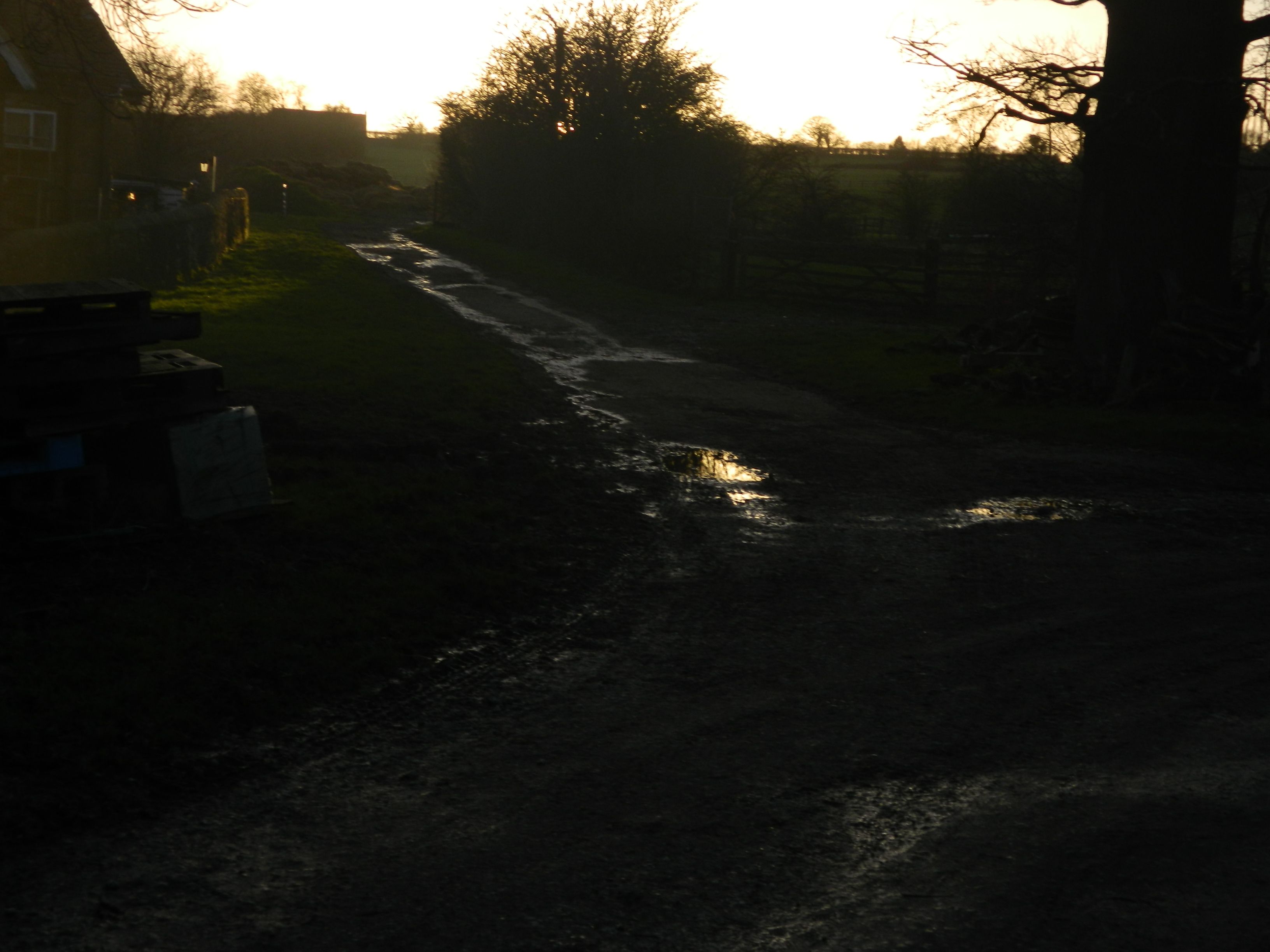 DSCN1739.JPG