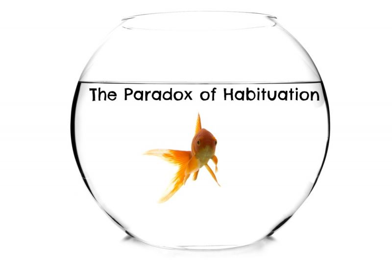 The-Paradox-of-habituation-800x534.jpg