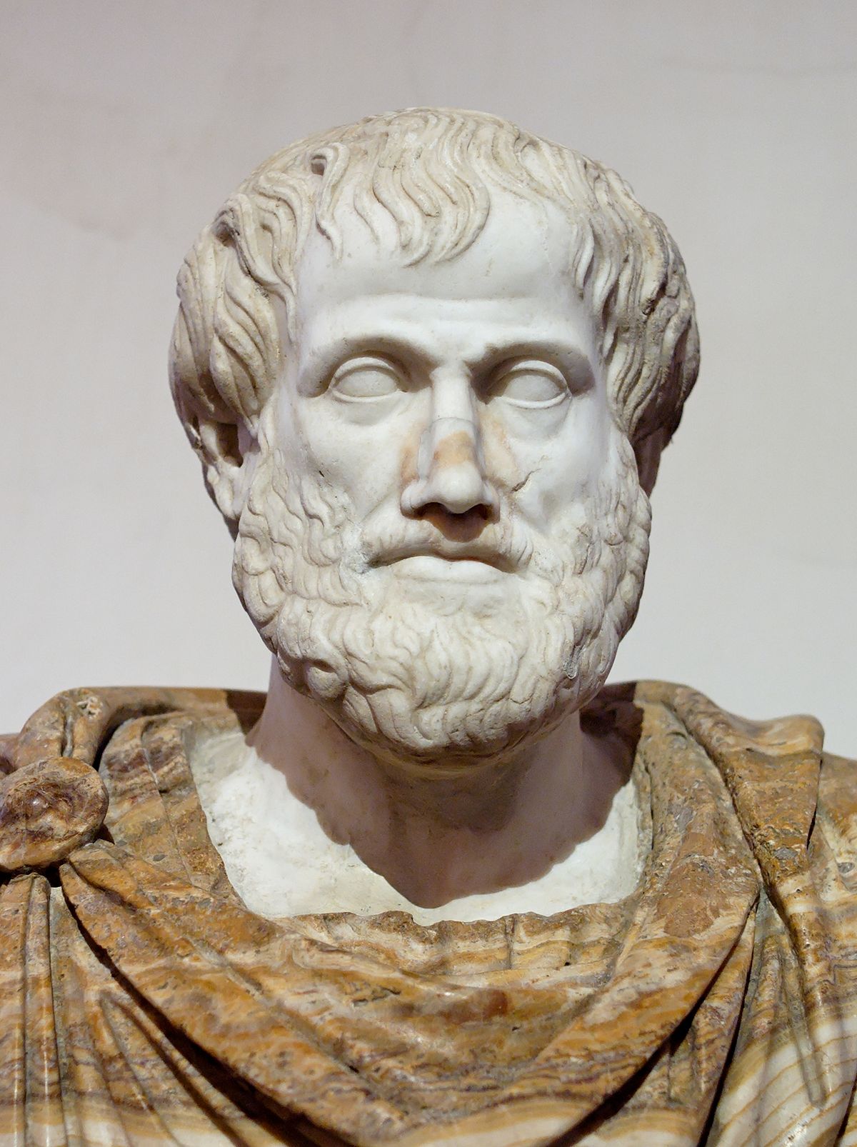 1200px-Aristotle_Altemps_Inv8575.jpg