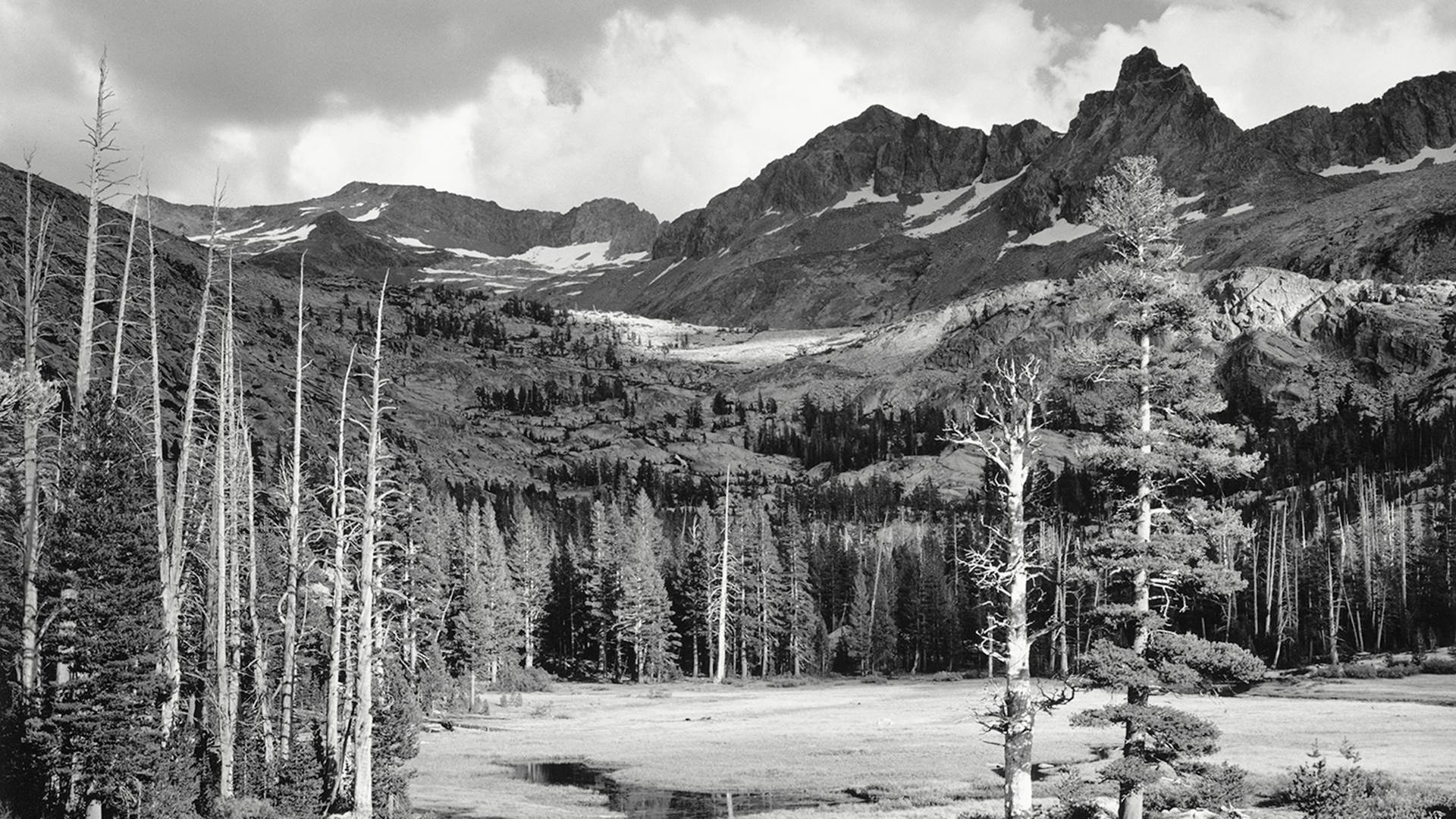 ss-141008-AnselAdams-Yosemite-tease.today-ss-slide-desktop.jpg