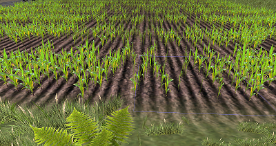 cornfarm.png