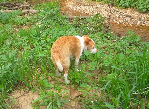 20150412_123308.jpg