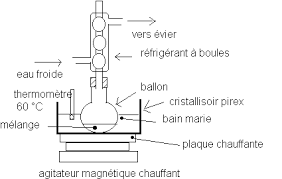 téléchargement.png