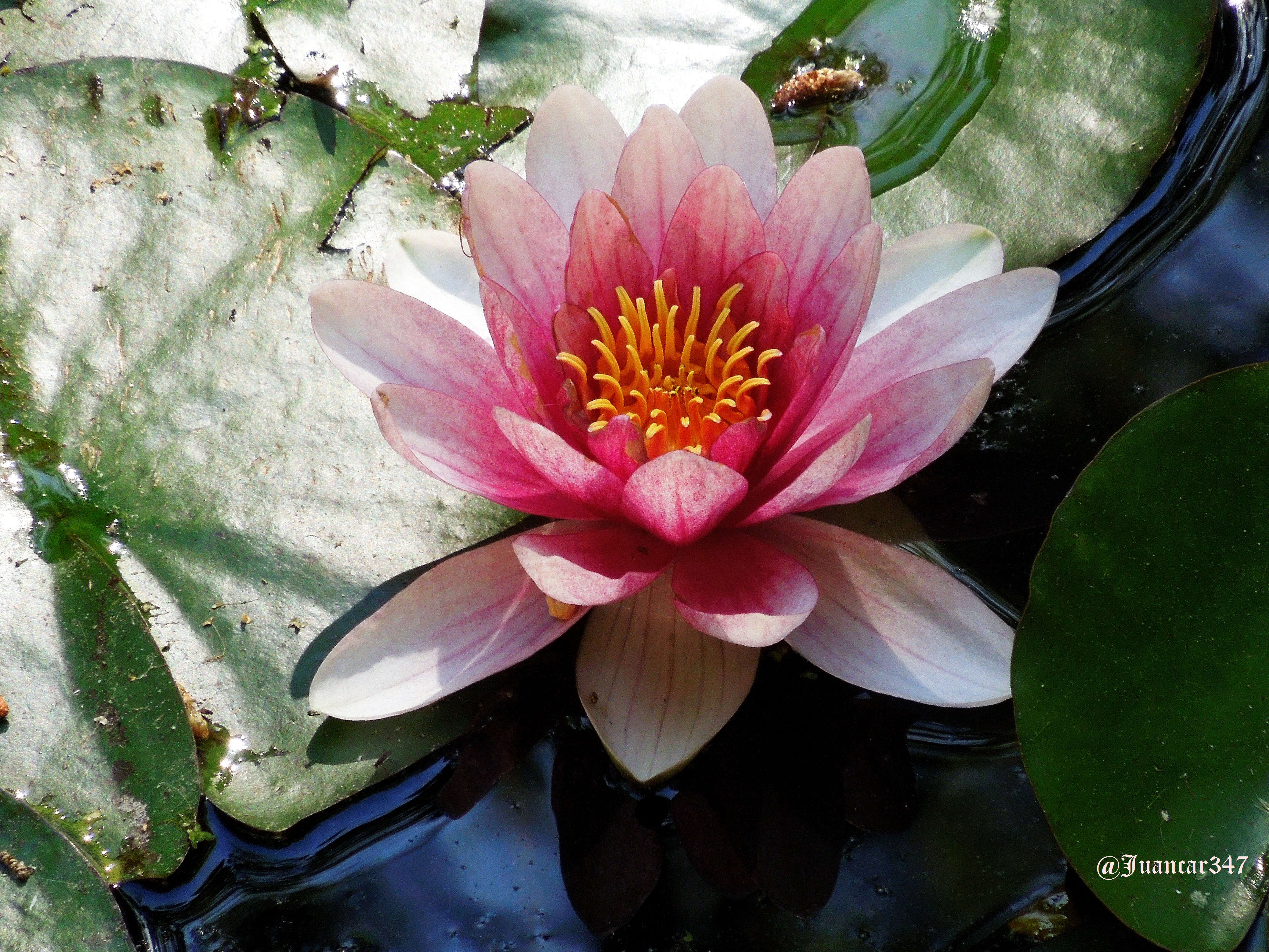 DSCN2958.JPG