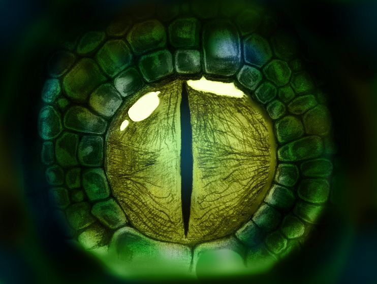 reptileeye3.jpg