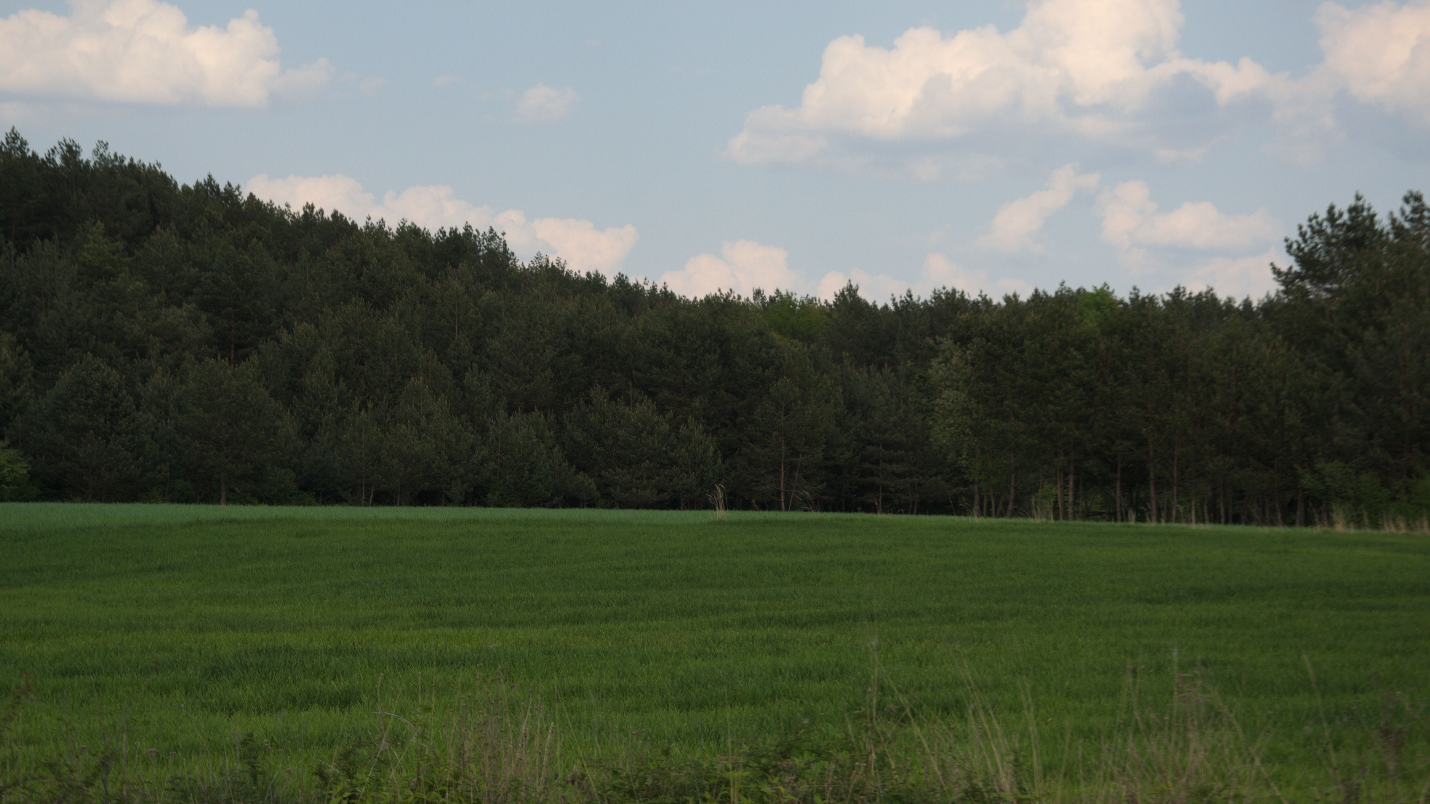 DSC_0605.jpg