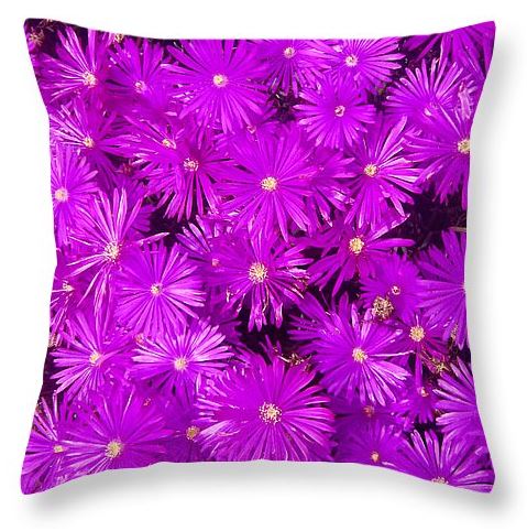 Pillow Purple Ground Cover.JPG