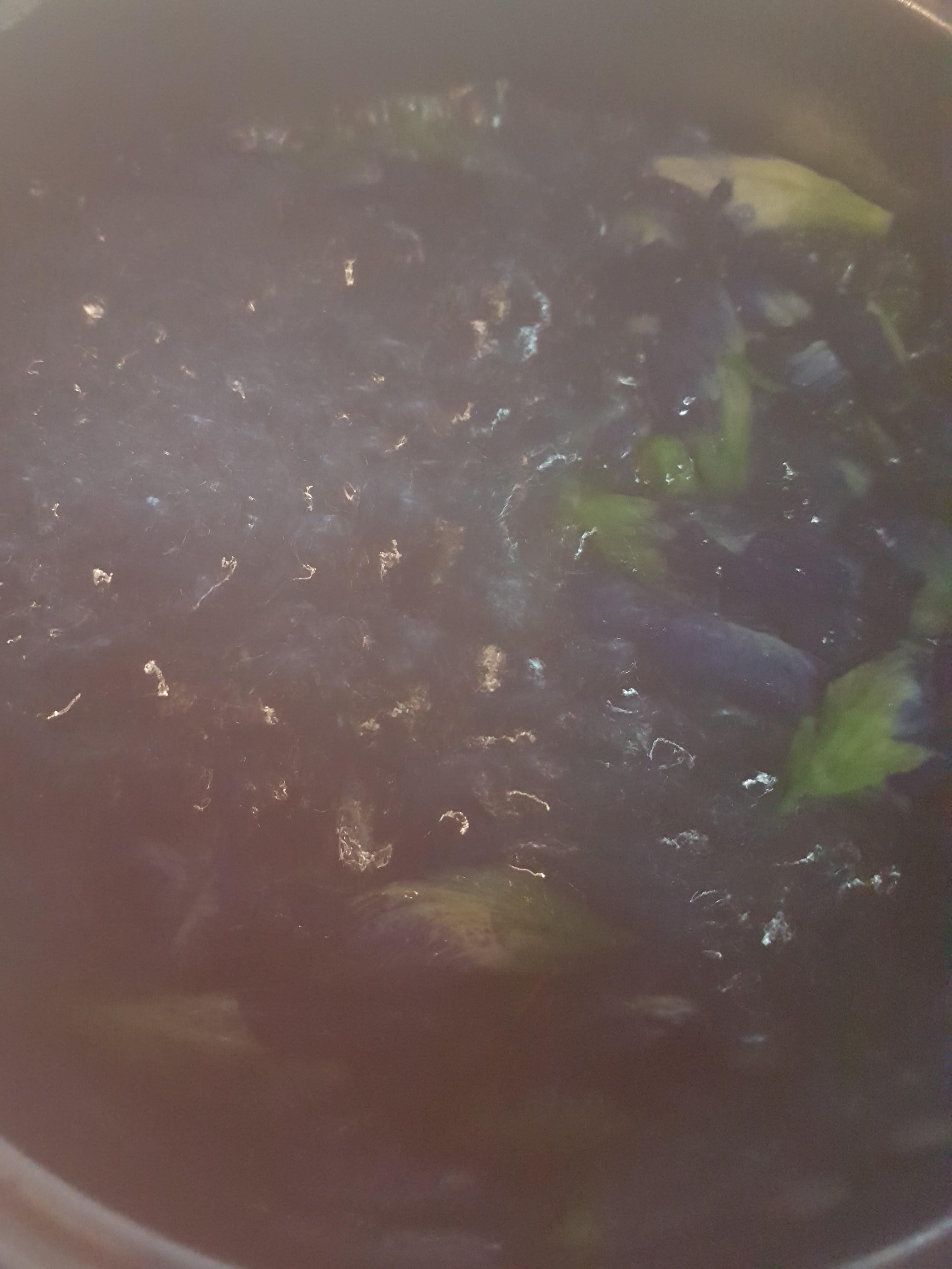 20170929_121656.jpg