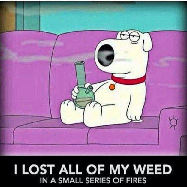 lost weed.jpg