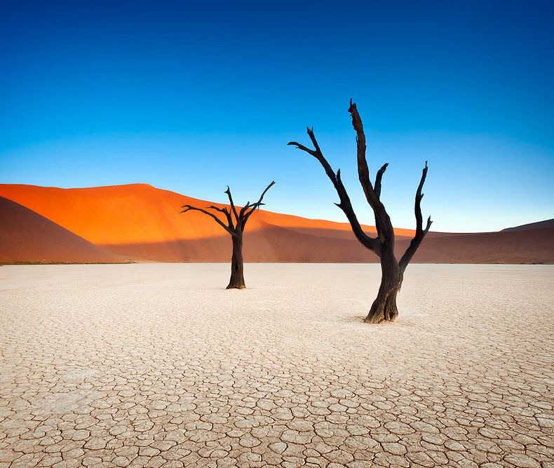 deadvlei-9[5].jpg