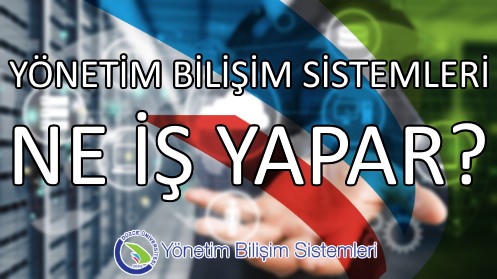 yonetim-bilisim-sistemleri-is-olanaklari-ne-is-yapar.jpg