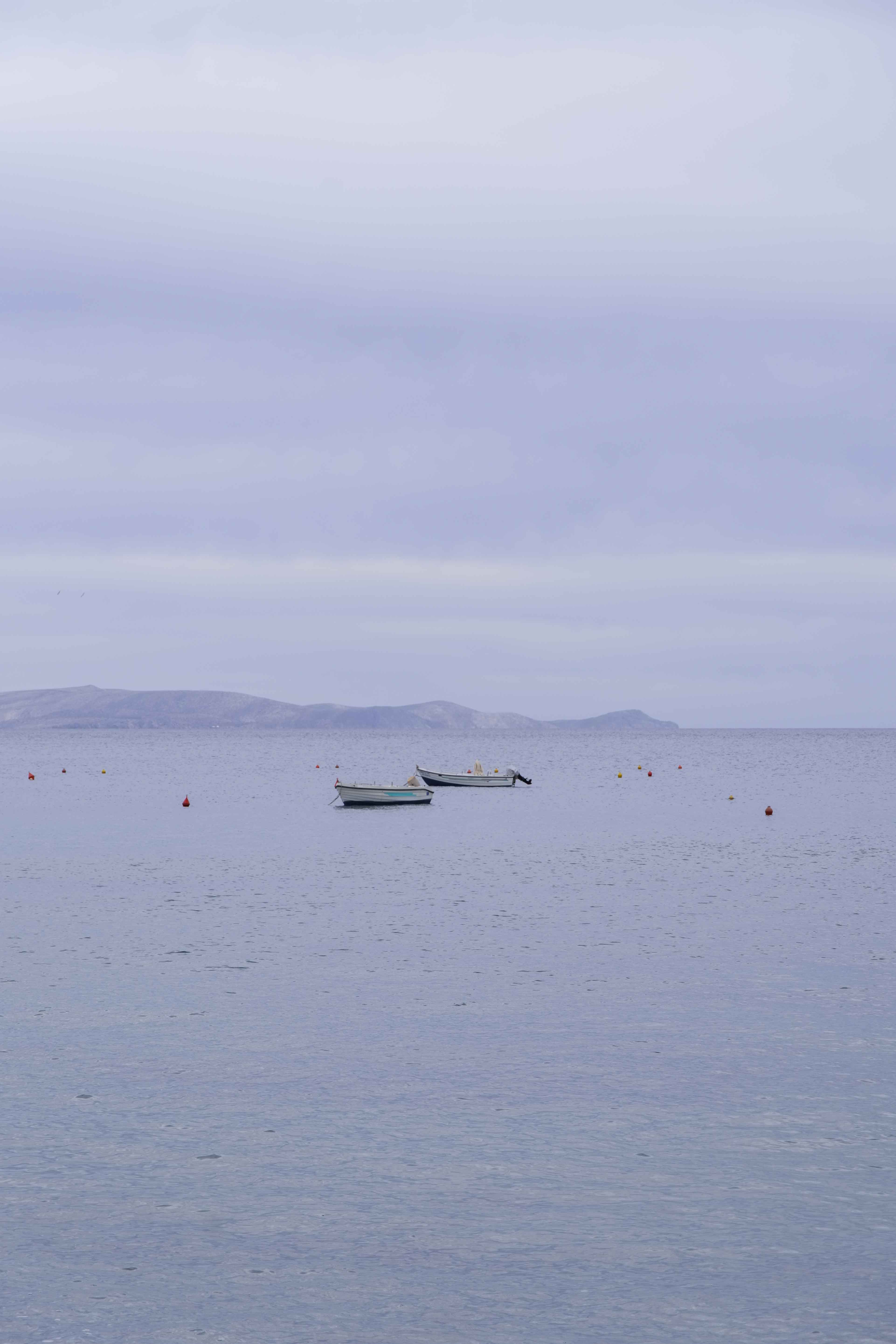 L1000232.jpg