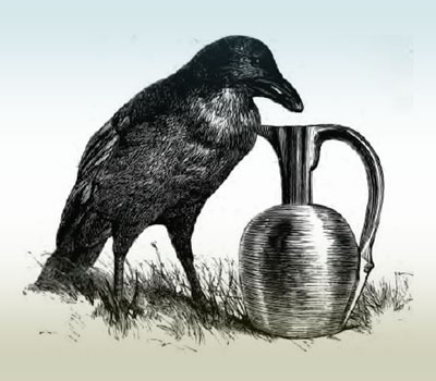 crowpitcher.jpg