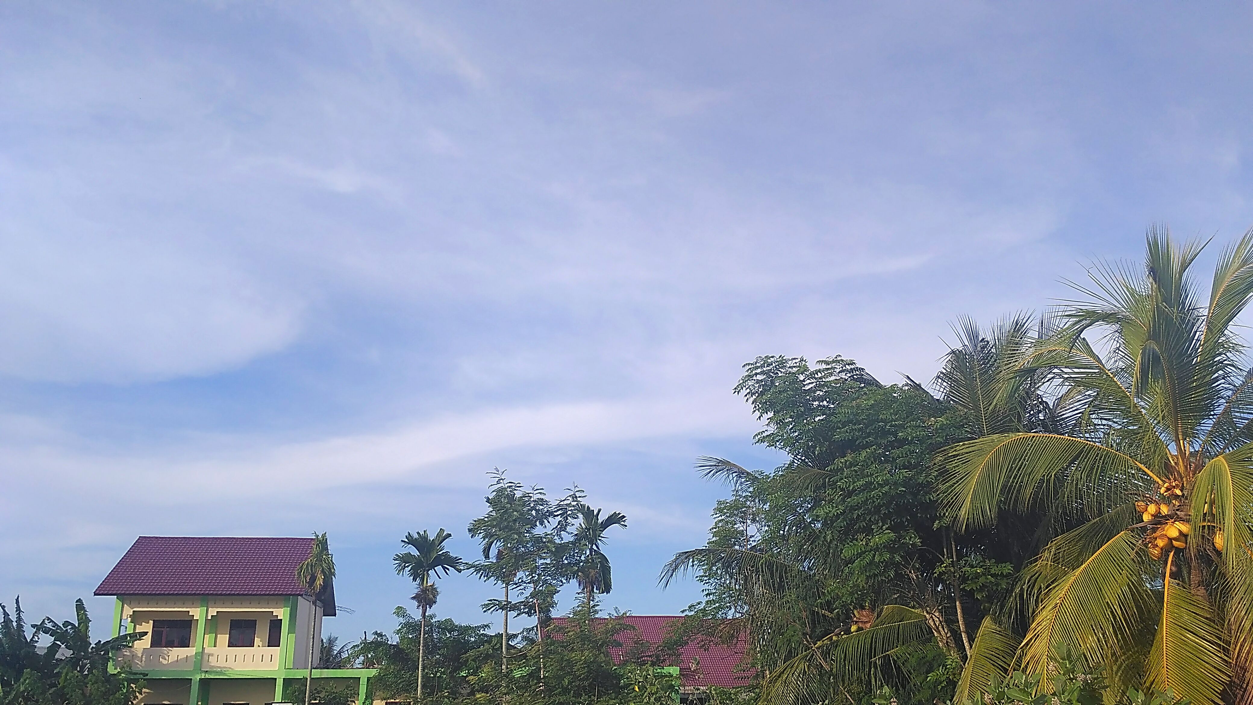 aviary-image-1498711152576.jpeg