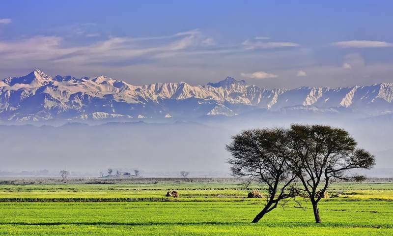 Rural areas near Punjab river 2.jpg