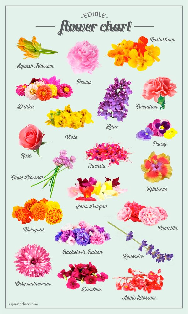 sc_edibleflowerboard_2.jpg