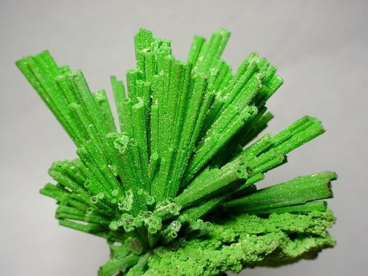 Minerals22_800.jpg