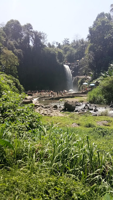 waterfall view from below.jpg