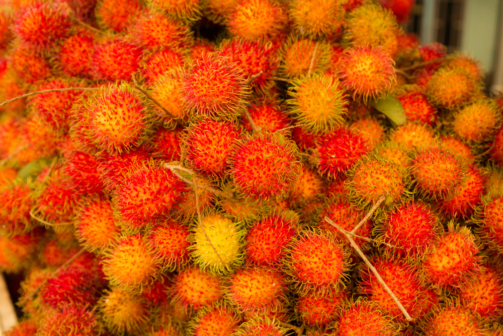 rambutan.jpg