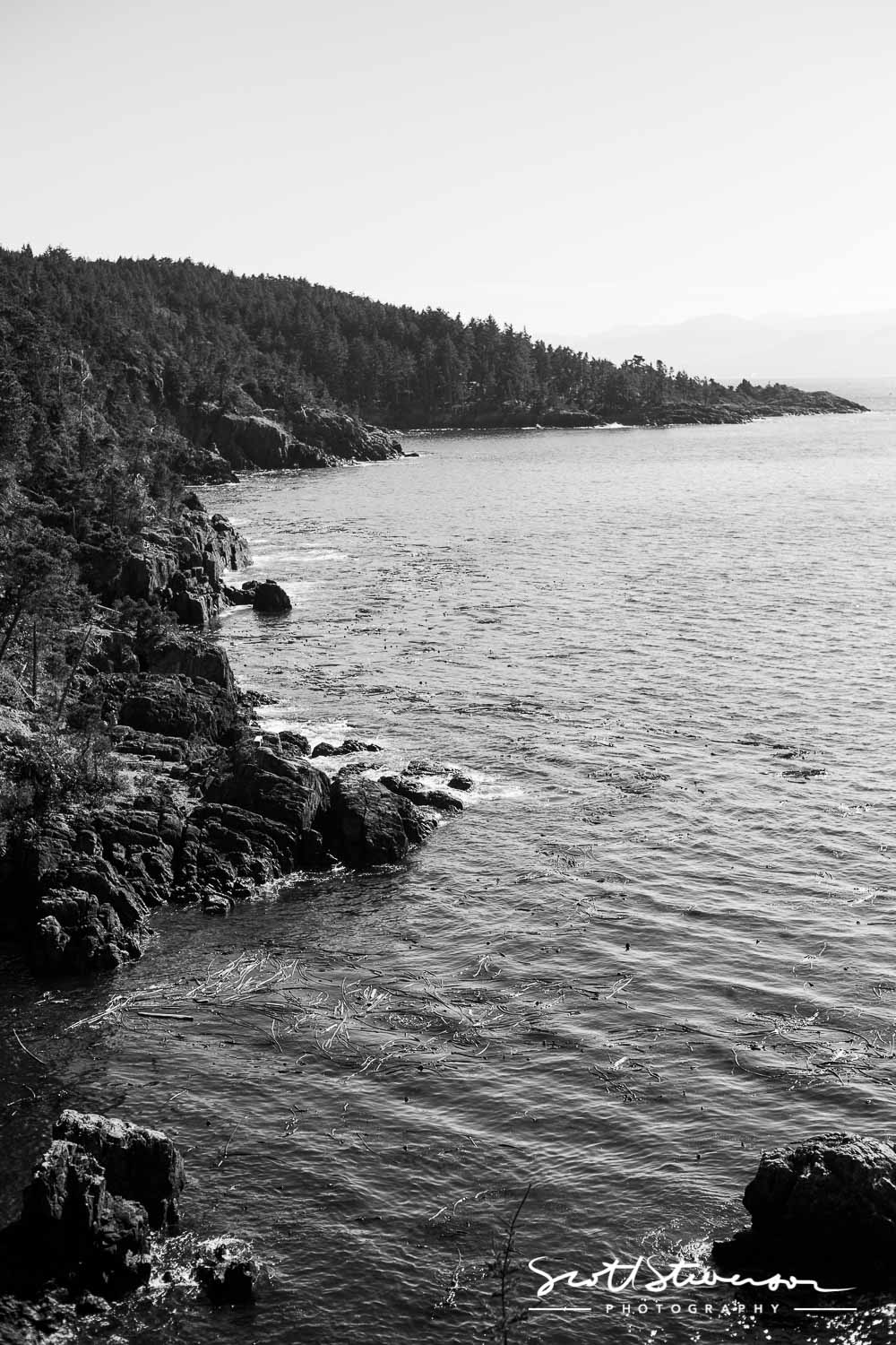 East Sooke Park-6.jpg