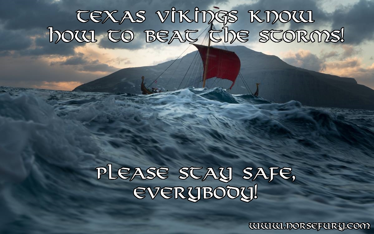 Texas Vikings.jpg