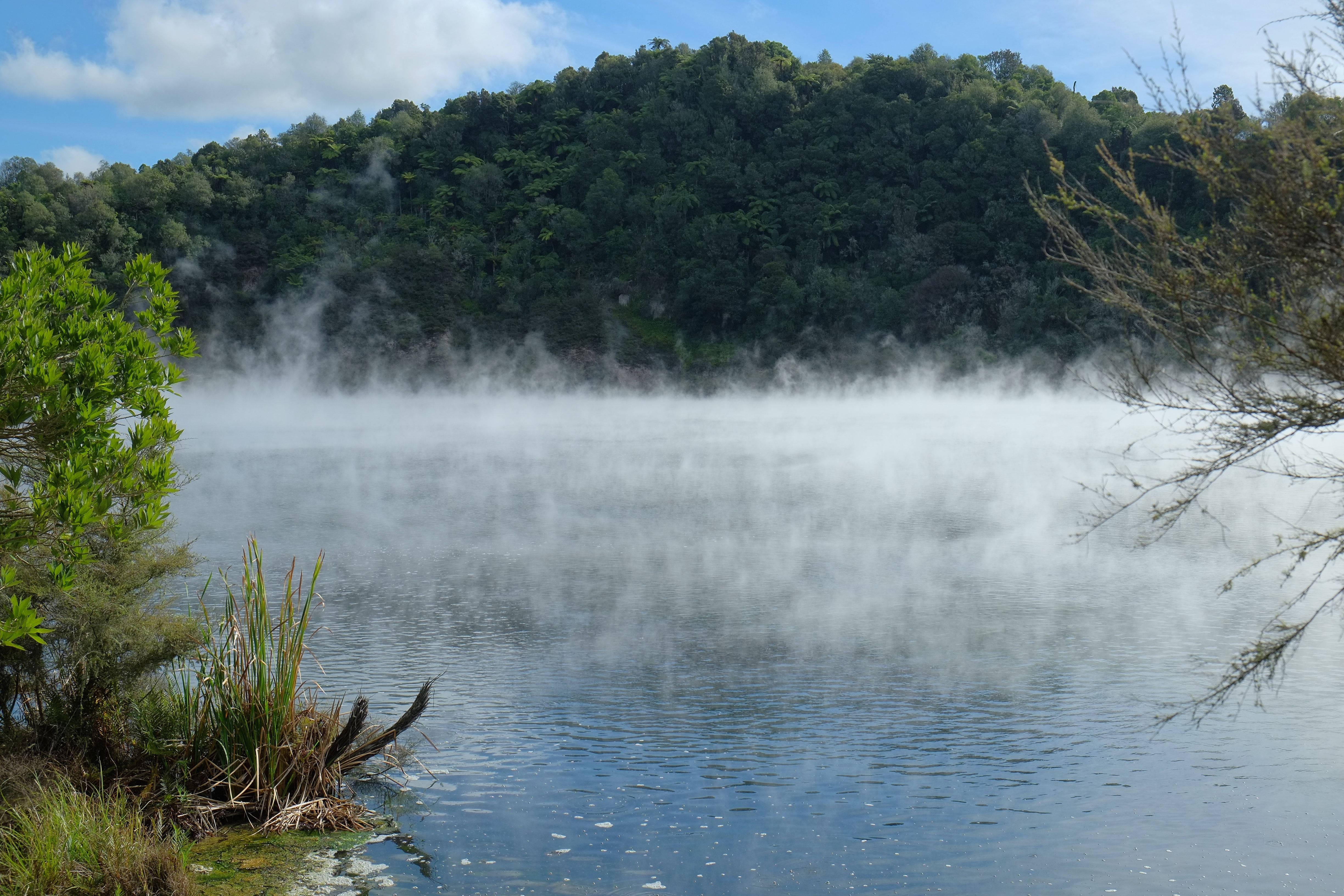 Steaming_Frying_Pan_Lake_in_Waimangu_Volcanic_Valley.jpg
