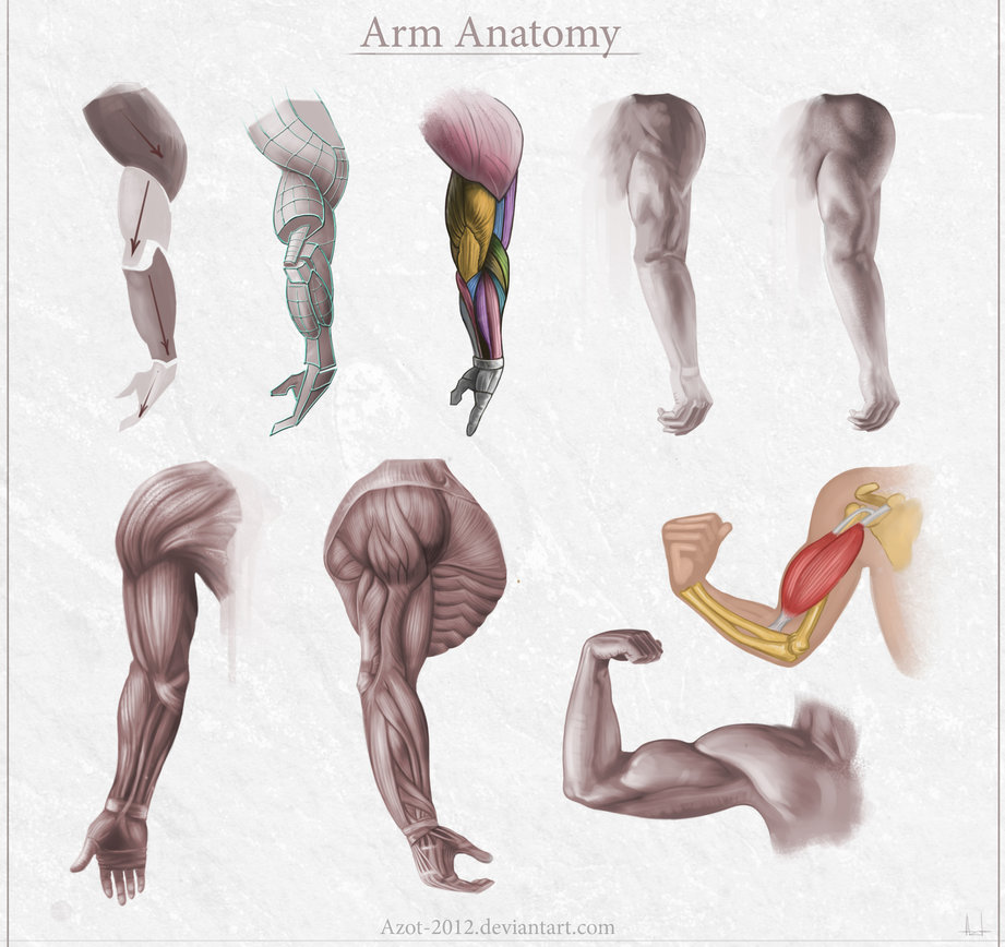 Male 05 Anatomy Reference Pose 05