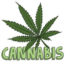 CANNABIS LOGO.jpeg