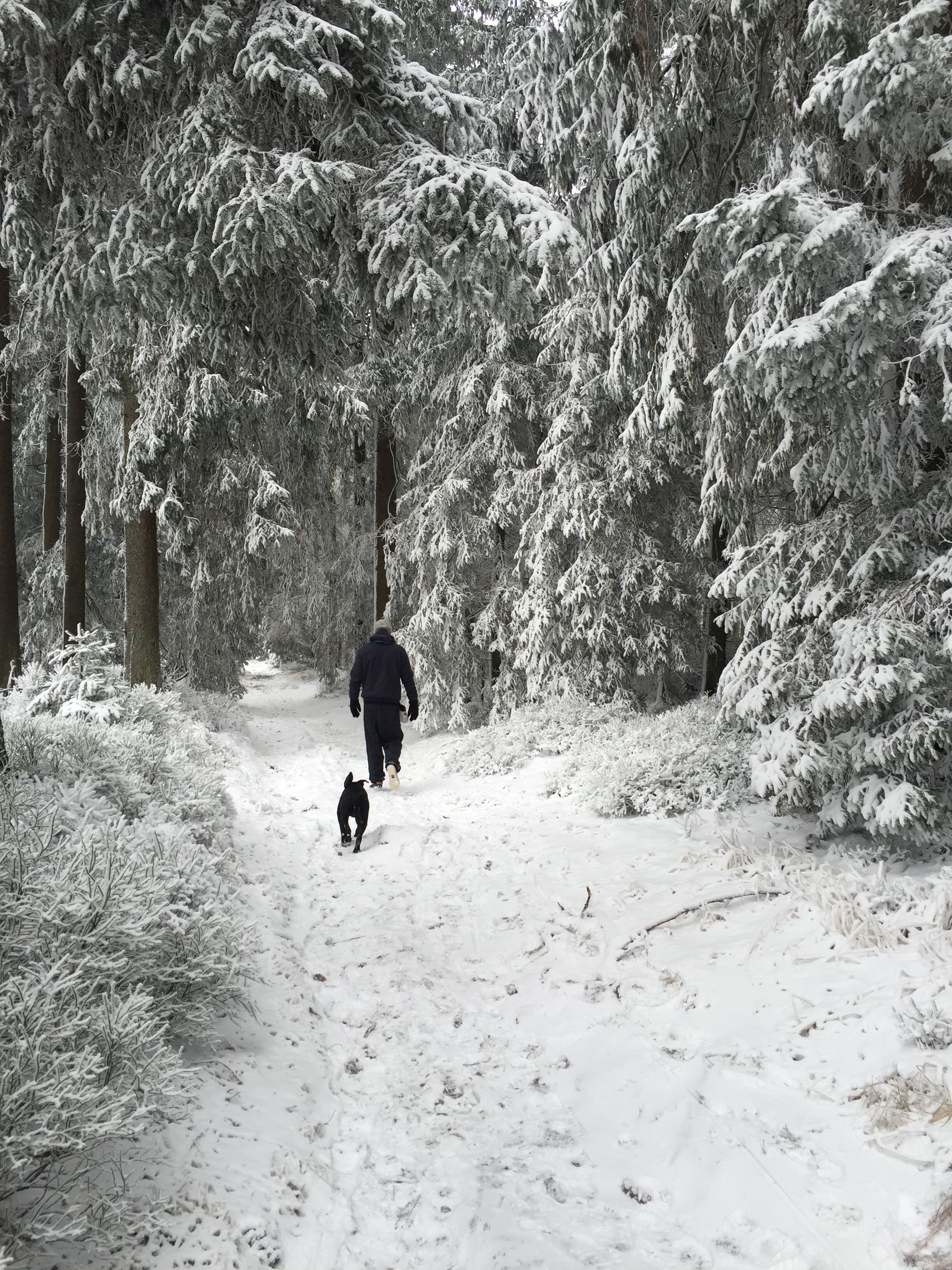 harz4.JPG