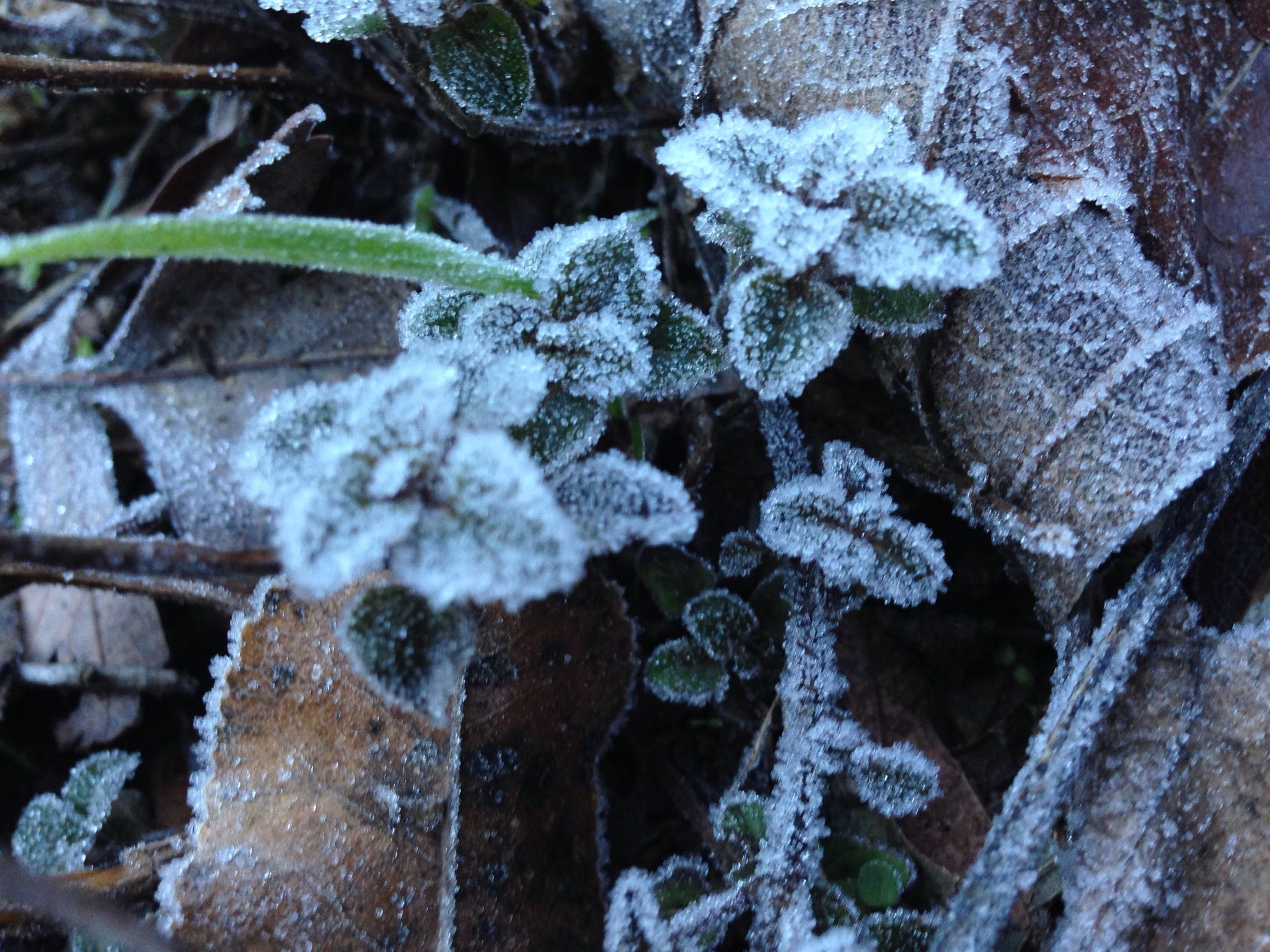 541442A3-A02D-46B3-8212-2C90A49220F0.jpeg