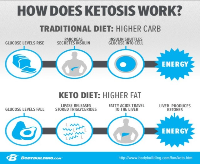 ketosis.jpg