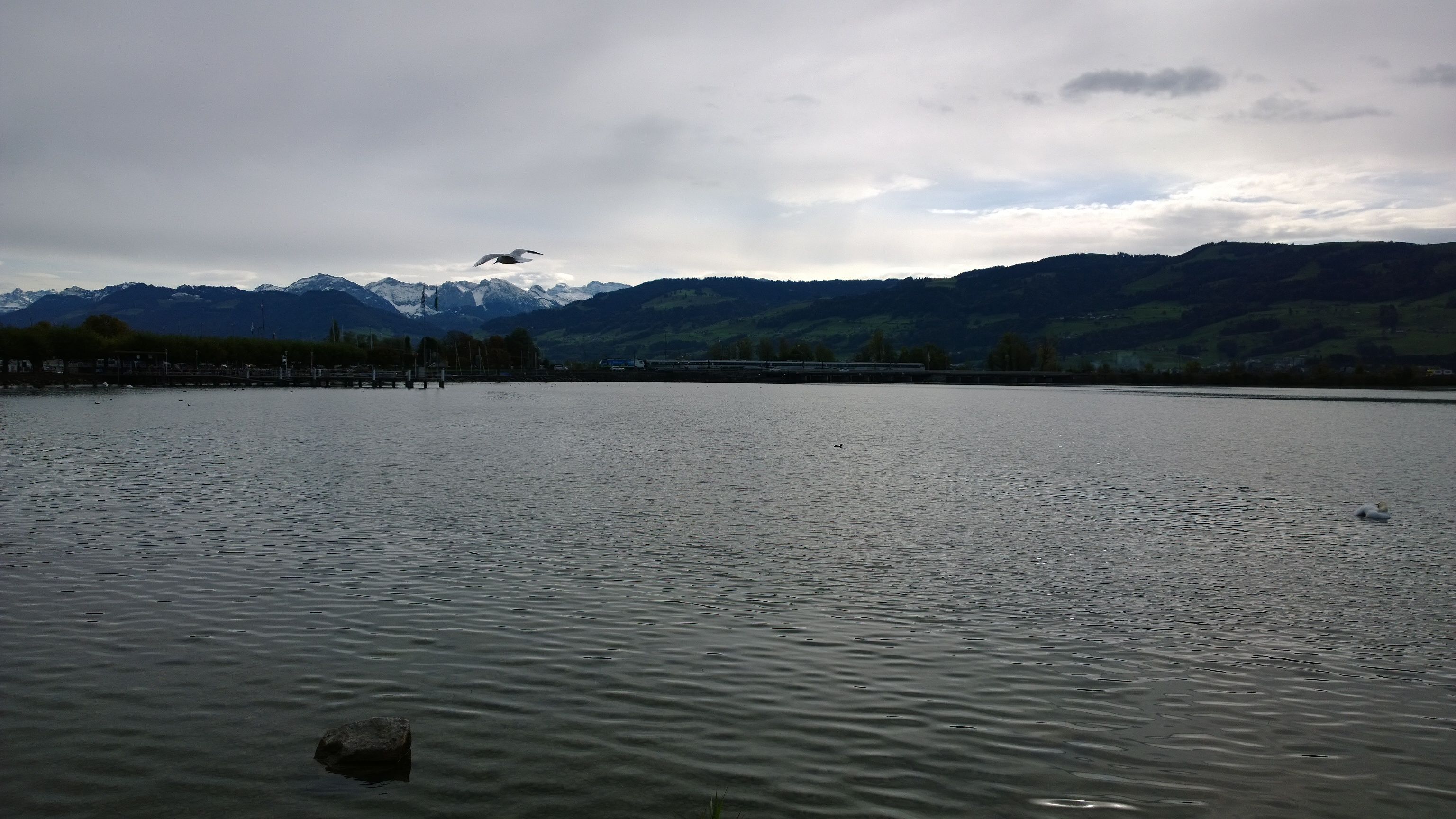 WP_20131014_12_57_01_Pro.jpg