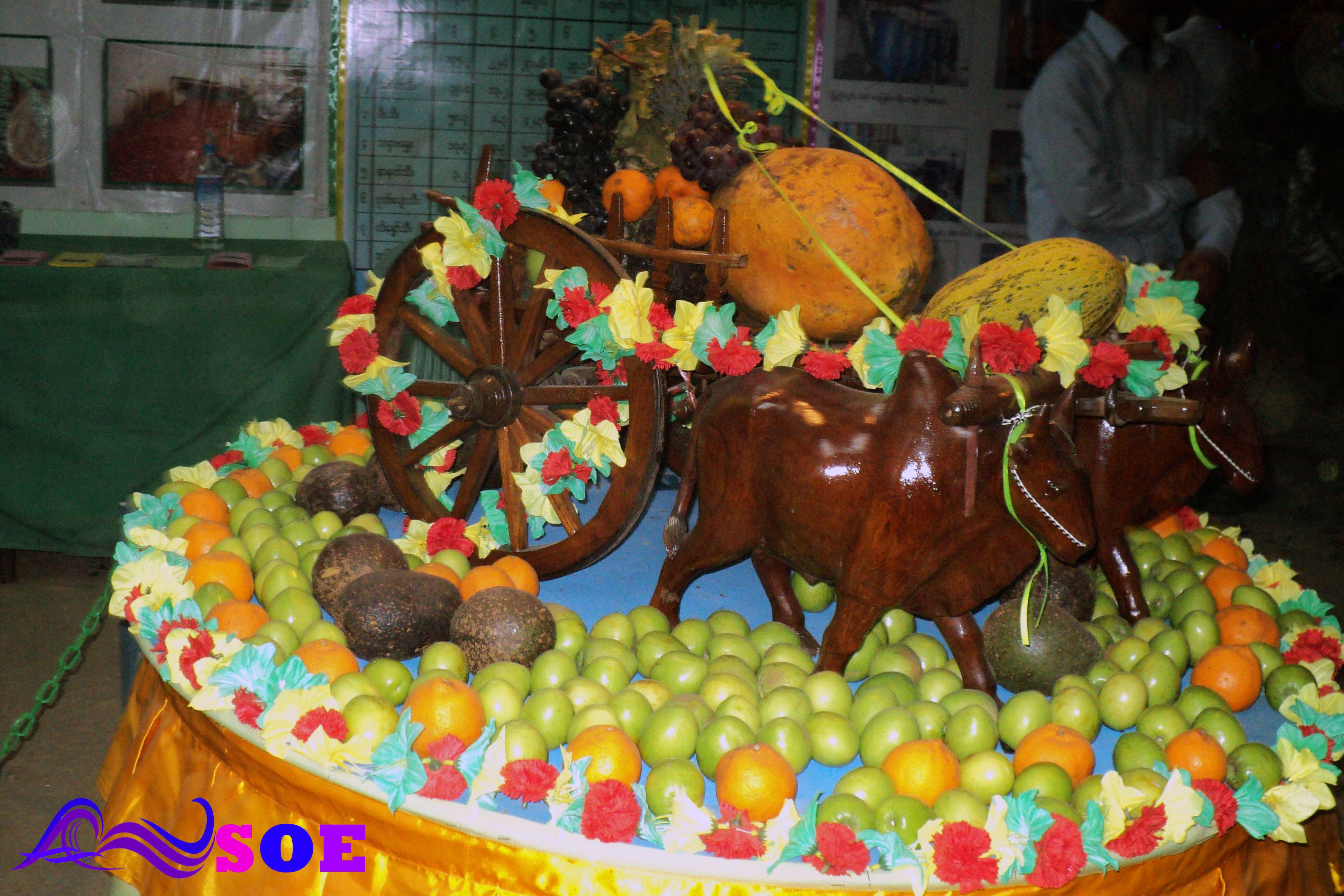 DSC02413.jpg