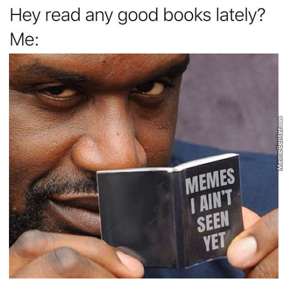 book-of-memes_o_7202523.jpg