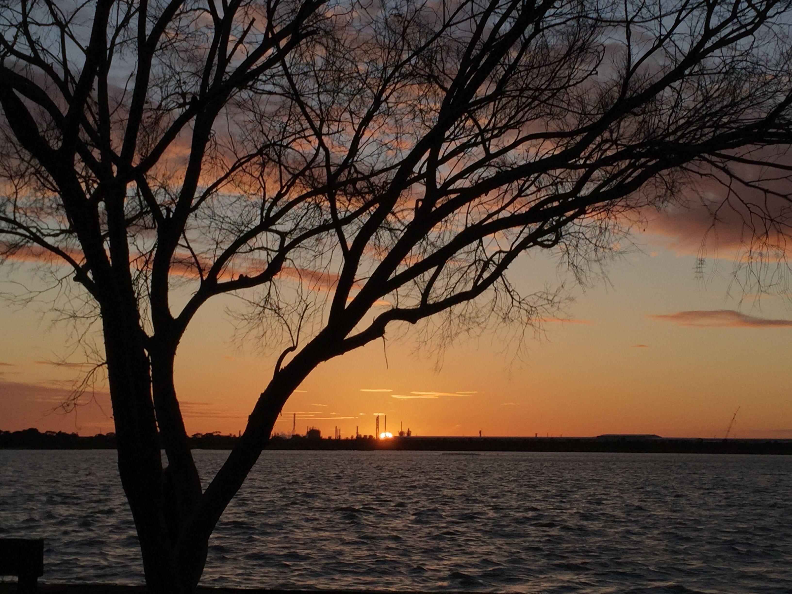 Altona.jpg