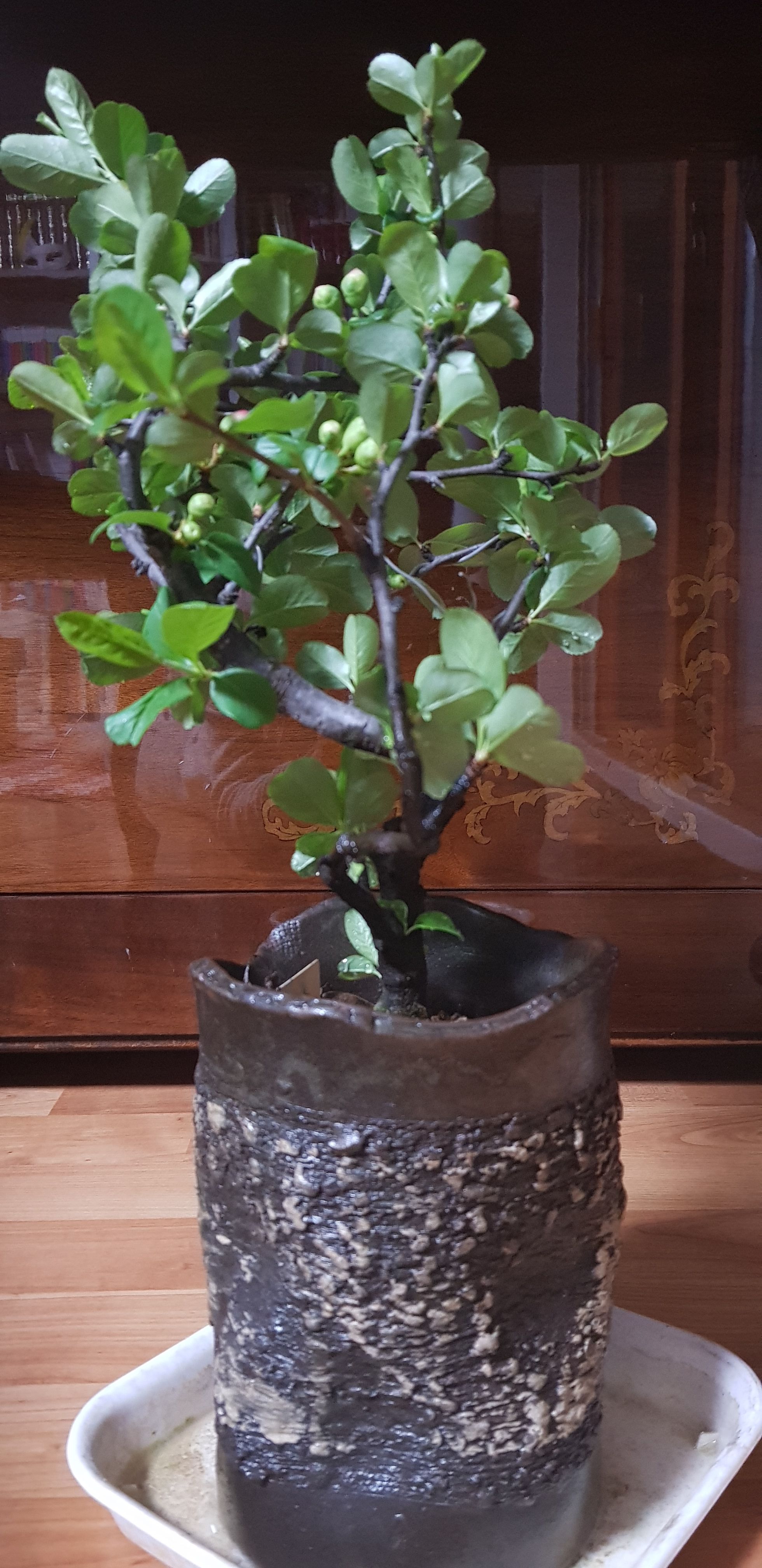20180313_204739.jpg