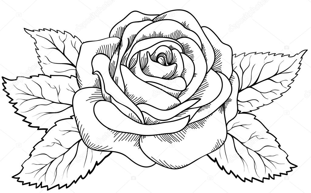 depositphotos_25574783-stock-illustration-beautiful-rose-in-the-style.jpg