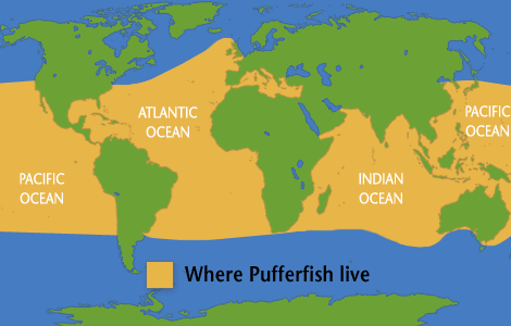 pufferfish-map.ngsversion.1396530884902.gif